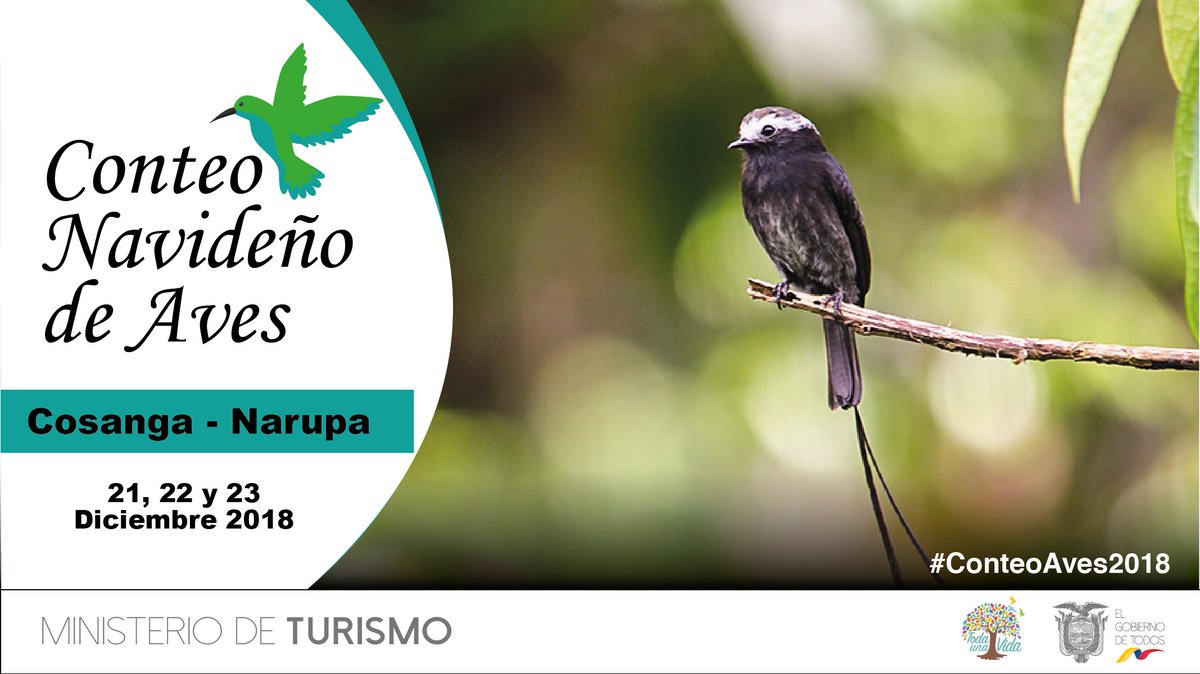 #CosangaNarupa te espera en el #ConteoAves2018, del 21 al 23 de diciembre. Ven y se parte de esta inolvidable experiencia. Apoya a la conservación de la naturaleza. Detalles e inscripciones  aquí: goo.gl/reNuHs