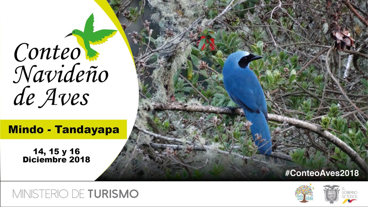 Alista tus binoculares y tu guía de aves, se viene el #ConteoAves2018 en el circuito #MindoTandayapa. Disfruta de este evento en #Mindo "Cuna de Pajareros", del 14 al 16 de diciembre. Detalles e inscripciones  aquí: goo.gl/reNuHs