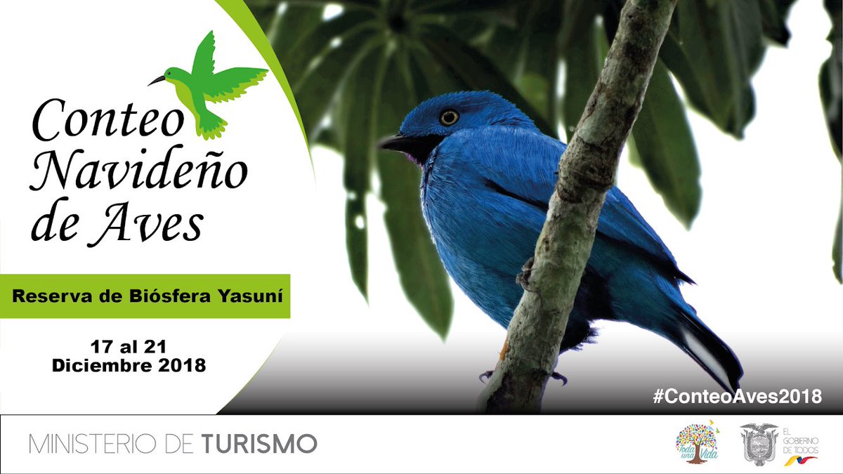Instituciones y empresas públicas conjuntamente con la industria turística de Orellana, realizan el #ConteoAves2018 en la #ReservaDeBiósferaYasuní. Detalles e inscripciones aquí: goo.gl/reNuHs