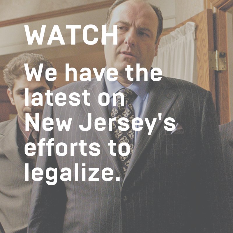 Business of Cannabis tweet media