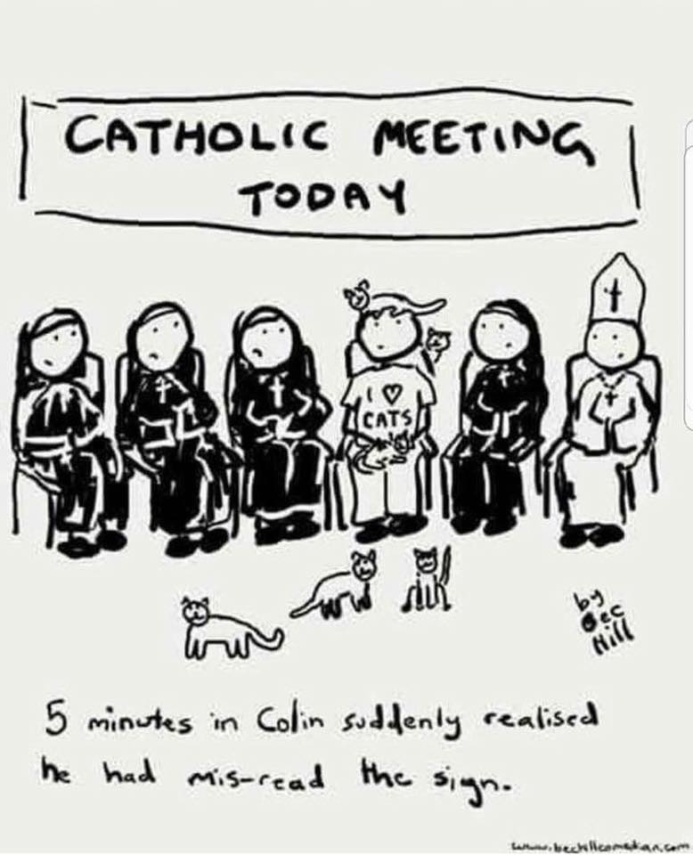 AnimalERMemphis's tweet photo. "I thought this was a cataholic meeting?" #catsoftwitter #mondaymotivation https://t.co/RWHGlHQ2dd
