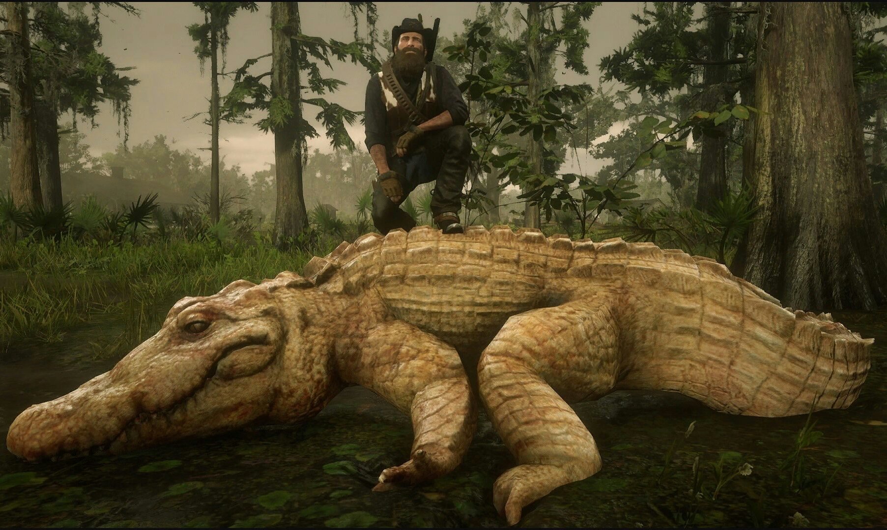 Legendary animal. Легендарный Аллигатор rdr 2. Red Dead Redemption 2 легендарный Аллигатор. Легендарный крокодил в РДР 2.