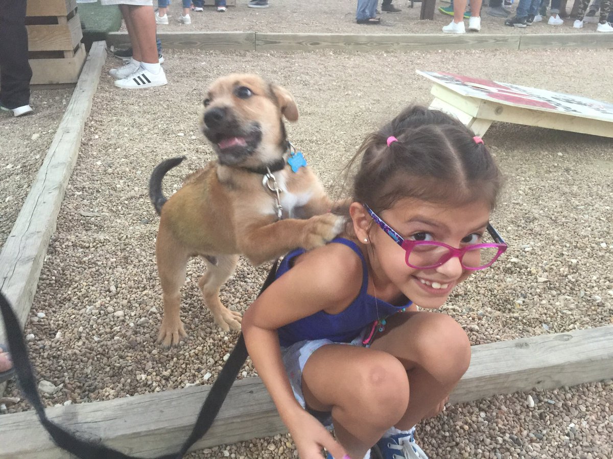 I would love to have a puppy 👍🏼💖👧🏻 

I think this puppy wants me ☺️