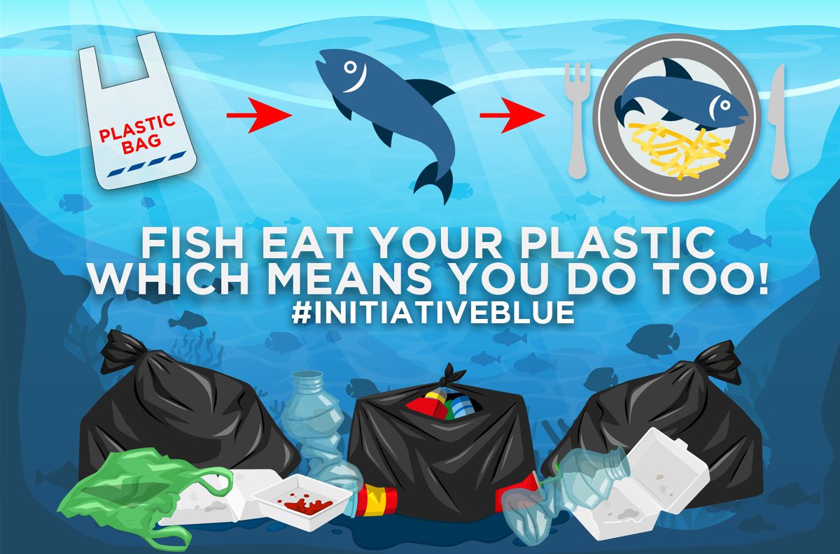 FISH EAT YOUR PLASTIC, WHICH MEANS YOU DO TOO! #Share and make #Aware #InitiativeBlue #PlasticPollution #SingleUsePlastic #STOPsingleuseplastic #SayNoToPlastic #MicroPlastic #Retweet