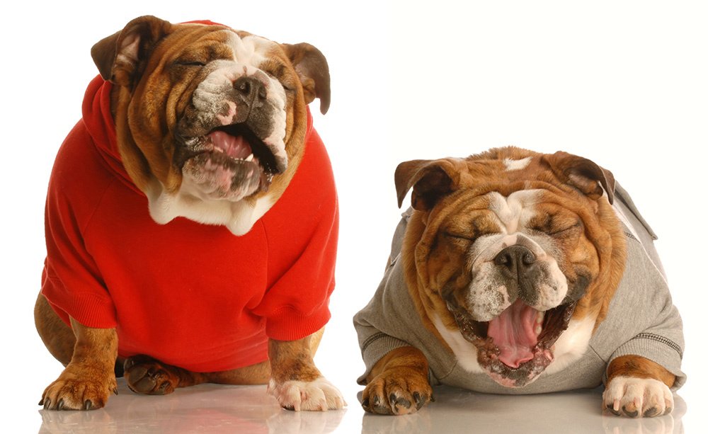 Epminerals's tweet image. EP Minerals Fundamental #25: Keep things fun. Remember that the world has bigger problems than the daily challenges that make up our work. Keep perspective. Don't take yourself too seriously. Laugh every day. #epway #epminerals #keepthingsfun