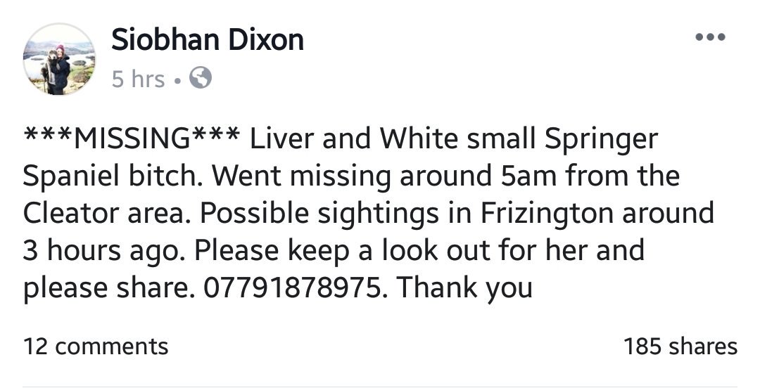WathBrowHornets's tweet image. Please can everyone RT

LAST SEEN AT DEANSCALES NEAR COCKERMOUTH THIS MORNING.

Thank You

#FindRoxy🐶
