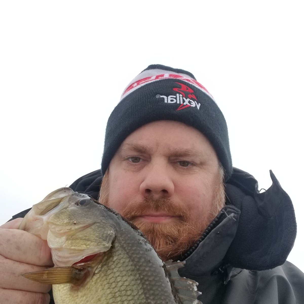 Joe (@bluefireicefish) on Twitter photo 