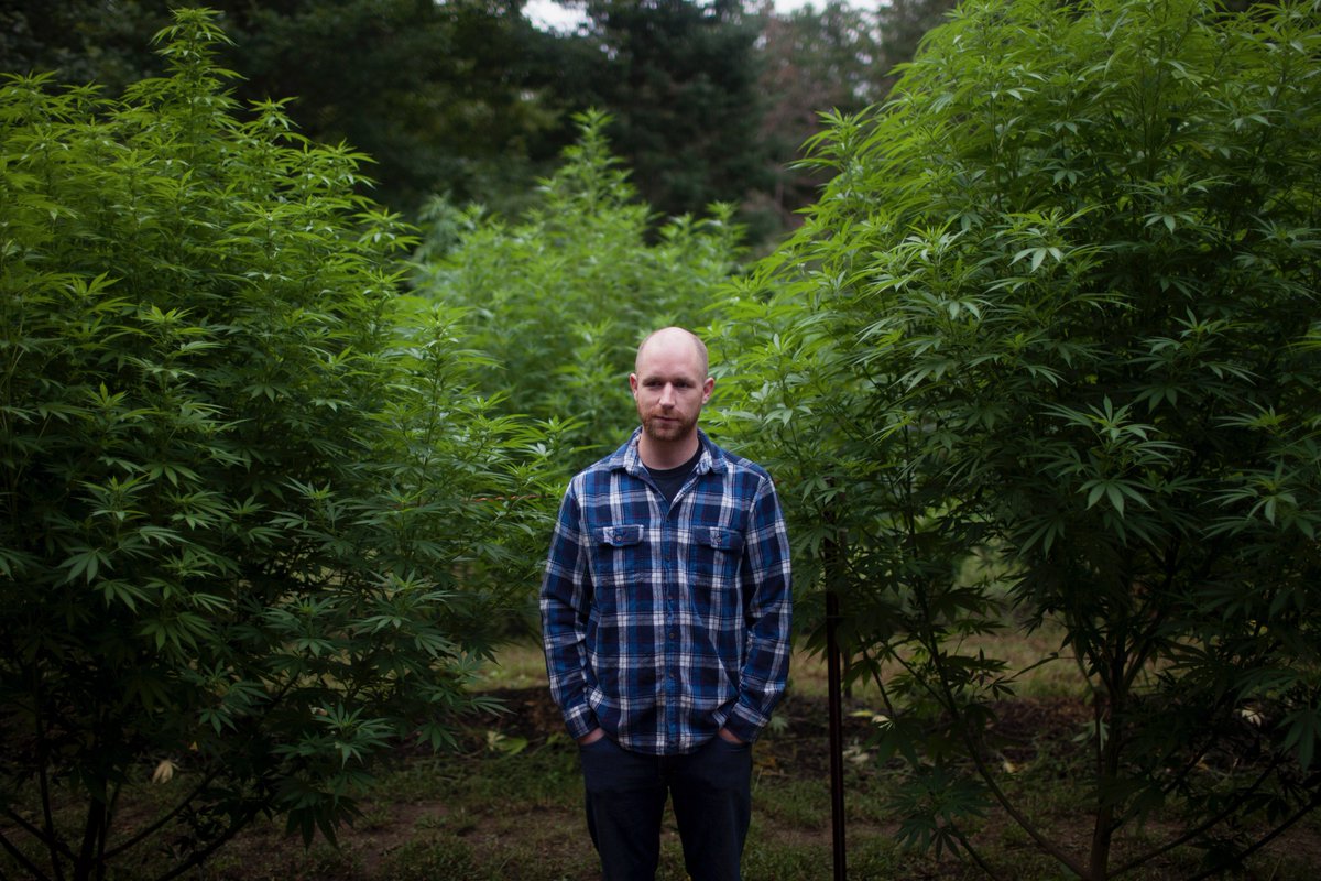 SimonLewsen's tweet photo. Canada did the right thing by legalizing recreational marijuana. The next step? Getting farming right. For Beside magazine, I profiled two innovative growers: @spearster55 of @BurnstownFarms and @jeanettern1 of @GoodandGreenCo. Photos by @chloeellingson. https://t.co/EmCuamUmkP https://t.co/7eV618J8fy