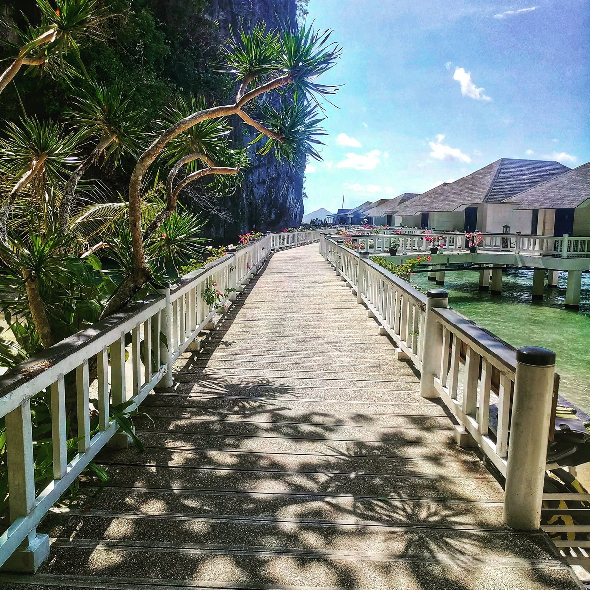 Mindominator's tweet photo. Sometimes all we need is sunshine and fresh air to make us well again

#mindfulness #meditation 
#island #travel https://t.co/zhGZ8g80EZ