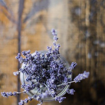 Anti-anxiety that smells great: lavender has been used in treating anxiety, insomnia and depression for hundreds of years. Recently, researchers have found that compounds in the pretty purple plant have a strong anti-anxiety effect.
ow.ly/1NnO30mRtTq