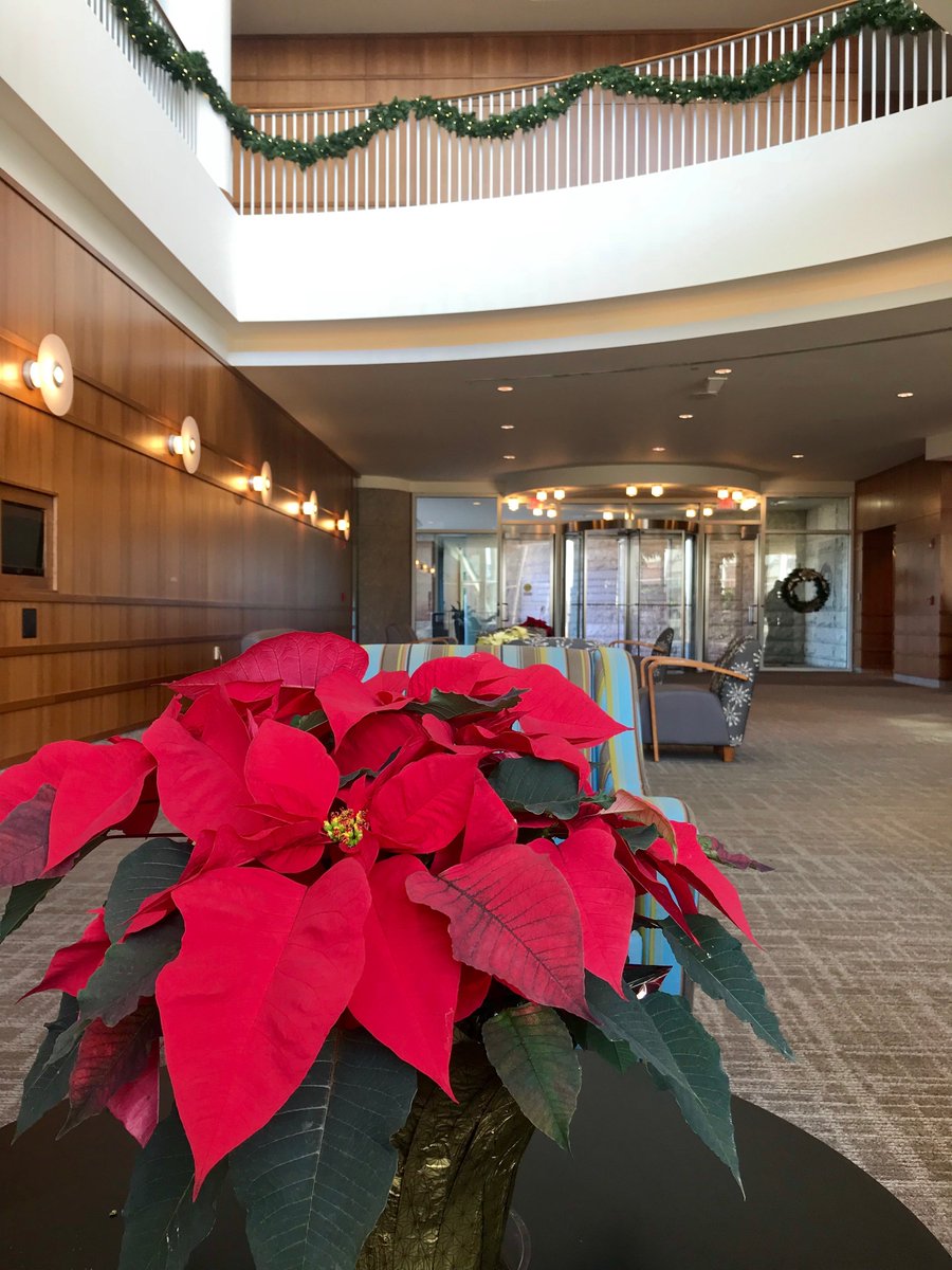 WalthamWoods's tweet photo. It’s not too late to book your company’s holiday event! We offer all-inclusive meeting packages, so you don’t have to worry about anything else but getting the whole crew together. #venue #holidayseason #company #Corporate #allinclusivepackage #waltham #Boston https://t.co/OliFjF5o8q