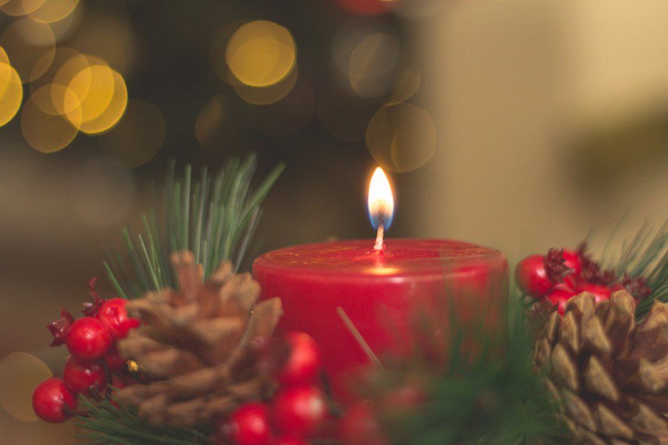 TierraFirmertm's tweet photo. ¿Por qué #Navidad? La cultura actual del mundo occidental latinoamericano nos lleva a estar a las carreras a esta altura del año... https://t.co/BqLDfoQ7fc https://t.co/9pyXtTLVMH