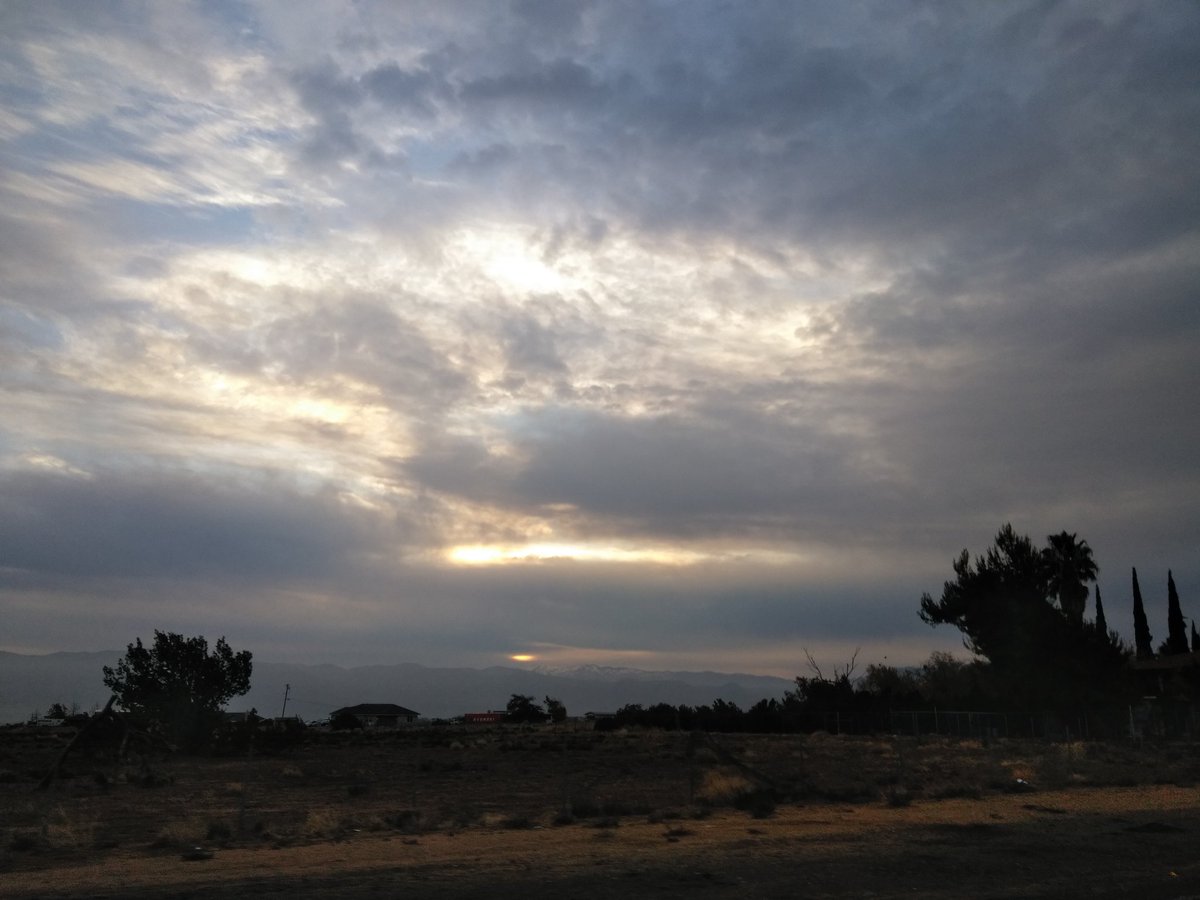 AlmaNuno2's tweet photo. Have a beautiful Monday https://t.co/K0VzrihcDY