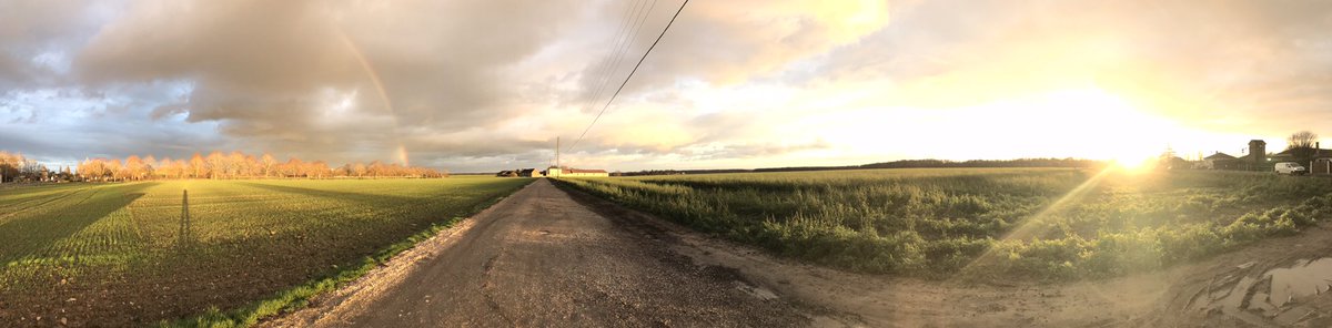 Marie Fugain 🎗️🧩 tweet media