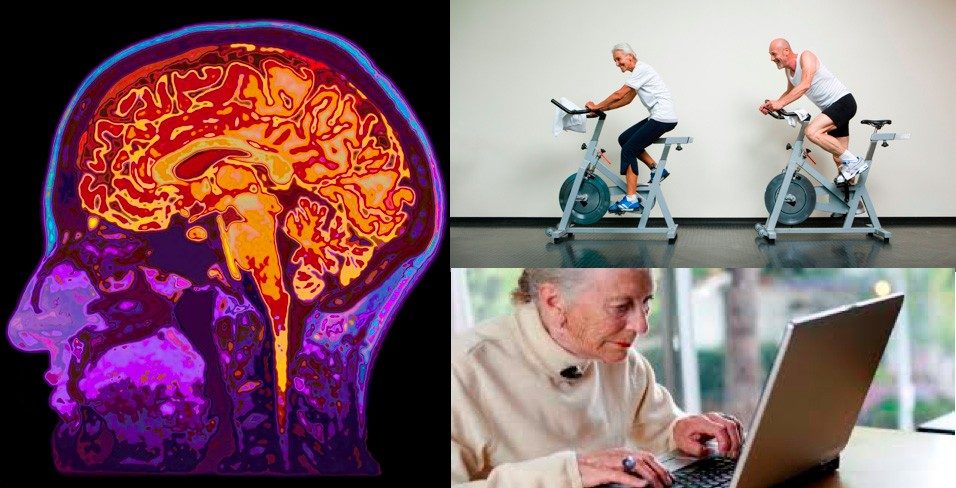 Concordia's tweet photo. #CUgradstudent Rachel Downey explores how #training can slow #cognitive and physical #decline in late adulthood https://t.co/D9UgFe0o55 The #Concordia researcher seeks to promote #healthyliving in aging populations https://t.co/L7BRHtYmNv
