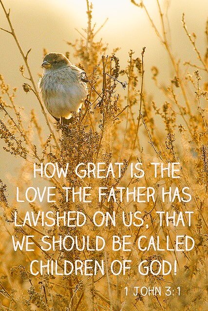 sharonePack's tweet image. Sending Love from my heart, 
joined to The One Who IS LOVE, 
      He Cares for you Doreen