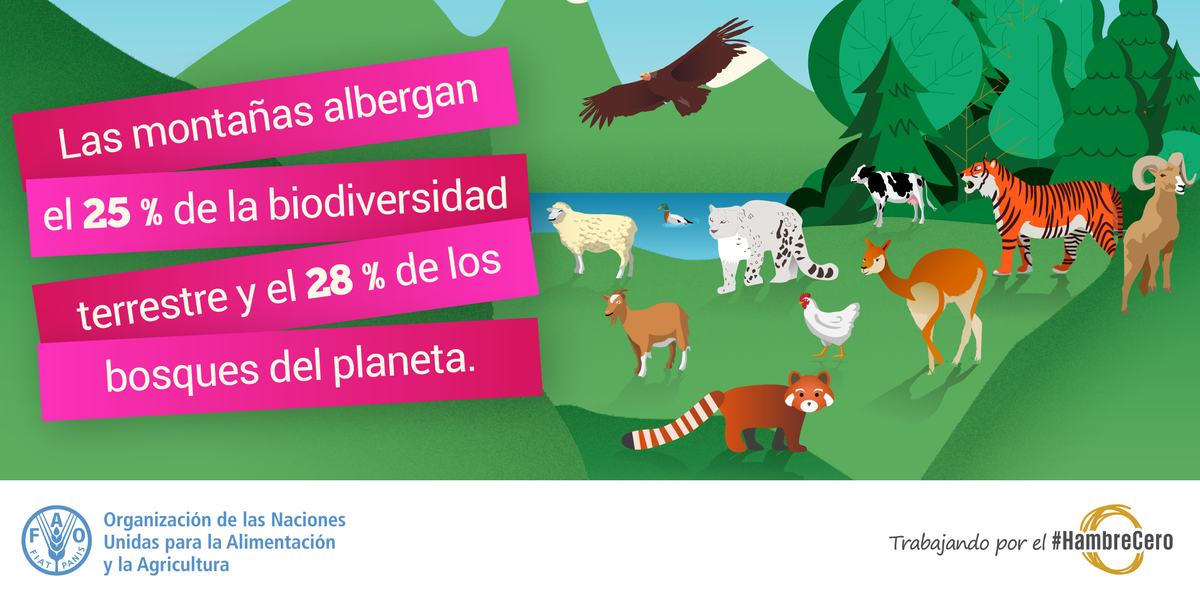 ONU_es's tweet photo. Las montañas cubren el 22% de la superficie de la Tierra y más de la mitad de la población mundial depende de ellas para obtener agua, alimentos y energía limpia.

En el Día de las Montañas, este 11 de diciembre, muéstranos cómo son importantes para ti: https://t.co/Xt8AVo1qXL https://t.co/u13I6olhTV