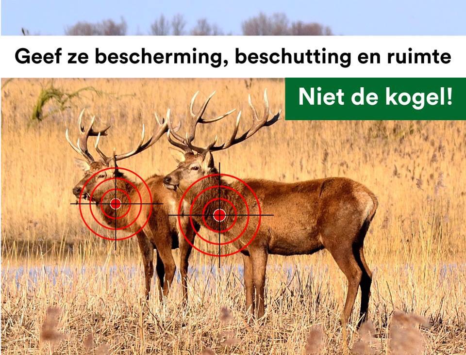 MA 🇮🇱 tweet media