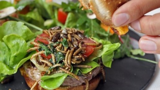 Vous êtes encore rebuté à l’idée de manger des insectes ? 
Commencez cette nouvelle forme d’alimentation en douceur ! Essayez de vous défaire des aprioris ajoutez peu à peu quelques insectes dans des recettes habituelles et débutez avec des vers de farine par exemple.