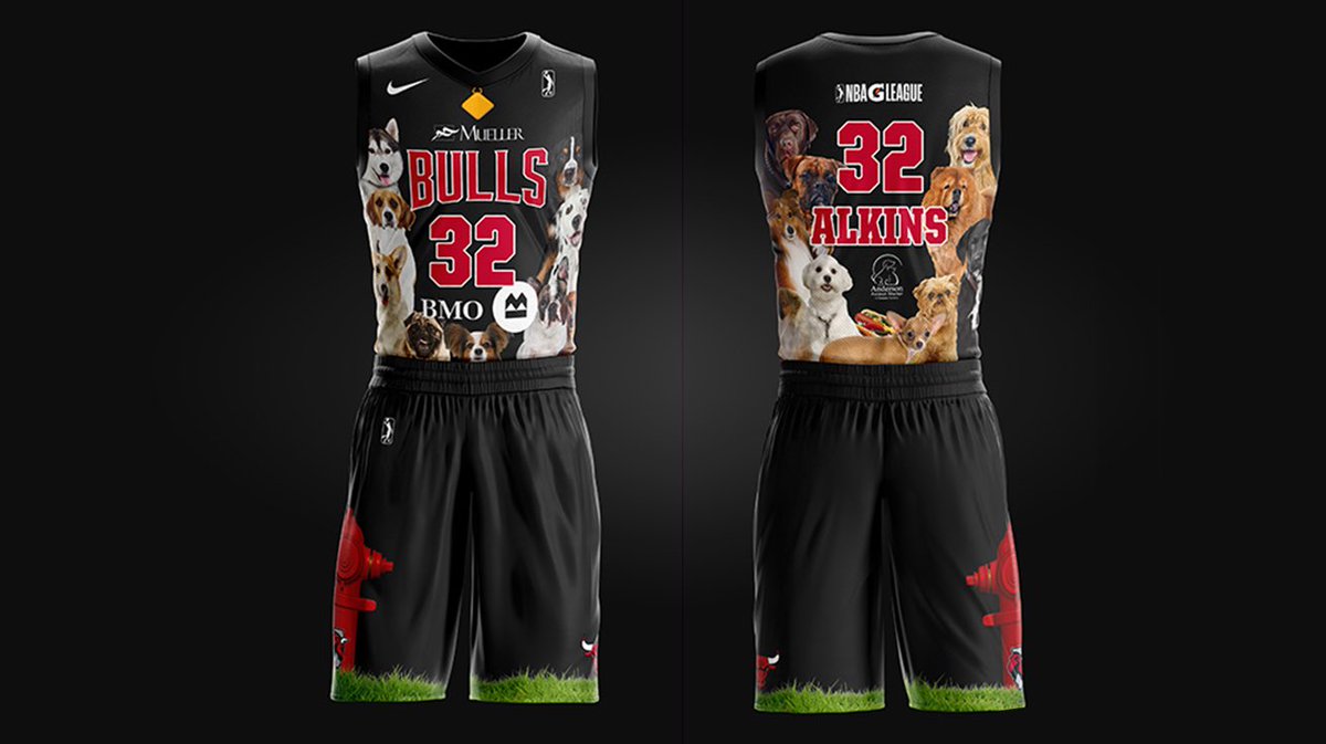 chicago bulls dog jersey