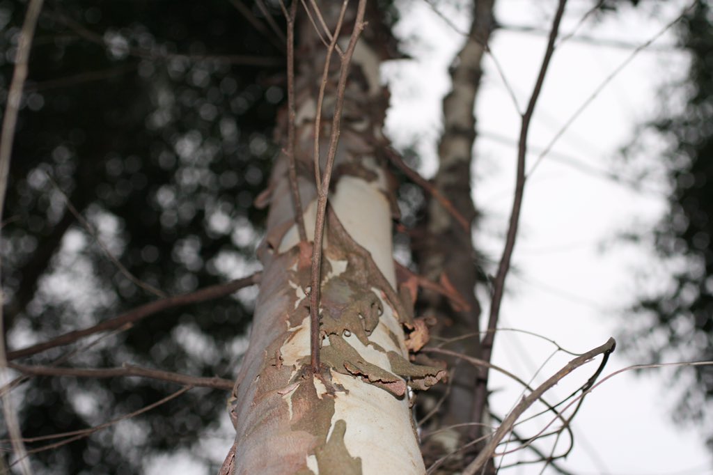 ElsePhotography tweet picture