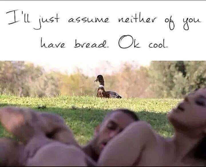 Got bread? 🍞 

When fucking in the park, spare a thought for the hungry ducks and pack a slice in your swinger bag. 

#CareForTheEnvironment 🤣