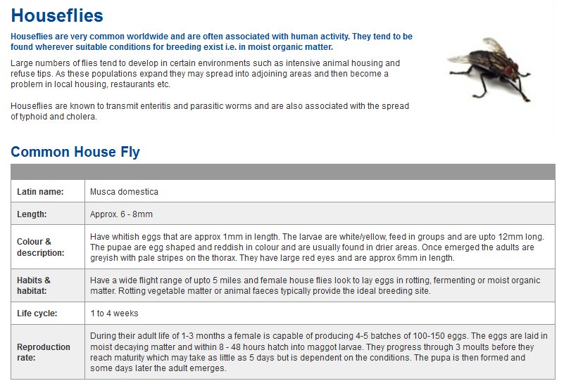 Pest_No1's tweet image. #PestControlAtticInsulation #PestControlTreatments #PestProtection