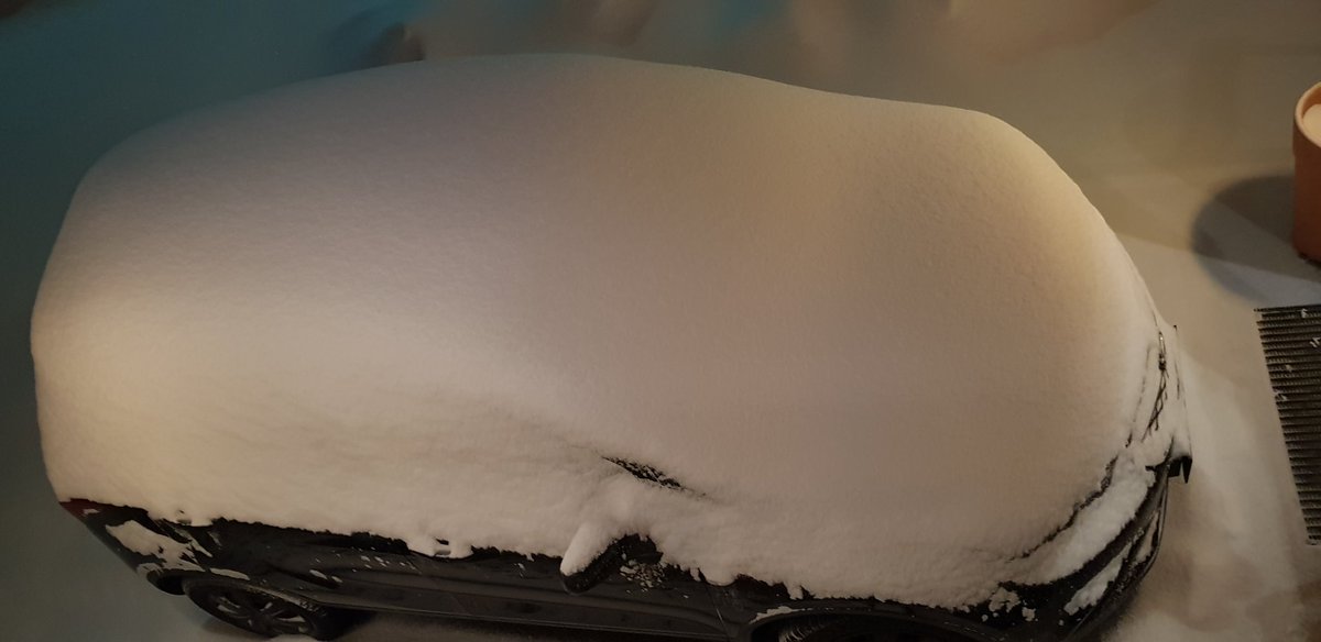 Hans ter braak tweet media