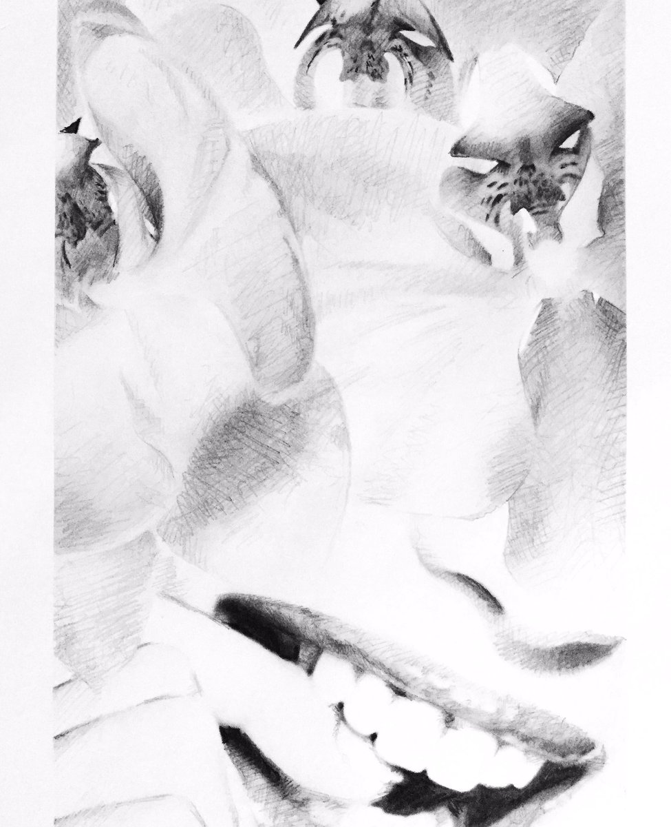 timdstevenson's tweet image. instagram.com/p/BrN-HC7FX3P/…