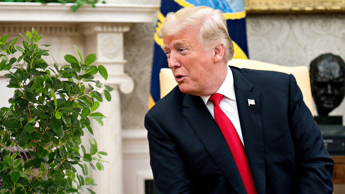 TheOnion's tweet image. White House Ficus To Leave For Virginia Arboretum After Declining Trump’s Offer To Be Chief Of Staff trib.al/fx3ntt2