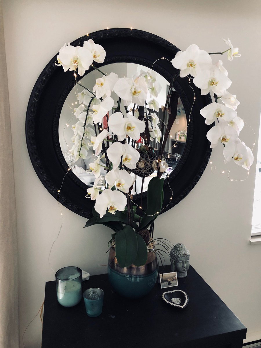 SDKiernan's tweet image. Somerville Orchids does outstanding creative work. Just look at this! vancouverorchids.com/Portfolio #orchids #vancouverorchids #shoplocal Thanks to @wheelerart