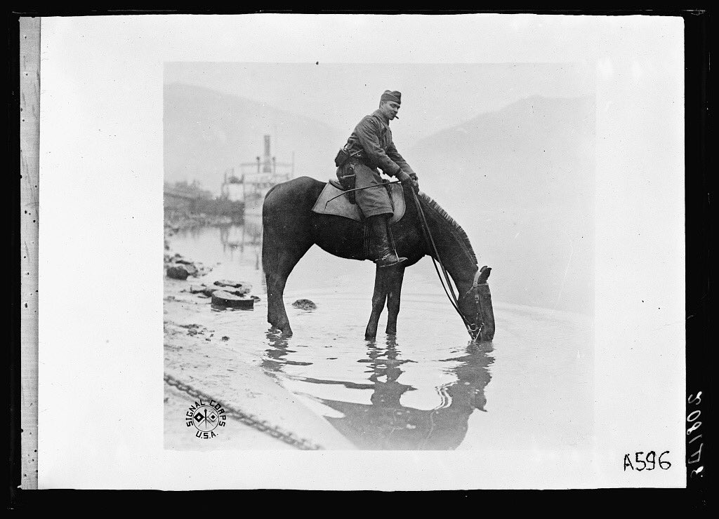 100YearsAgoLive's tweet photo. Captain M. W. Lanham of the 2nd Brigade, 1st Division, waters his horse “Hindenburg” in the Rhine.
#history #WWI #OnThisDay #1918LIVE #FWW #1918crowd #Armstice #Armstice2018 https://t.co/ipRmfZazcn