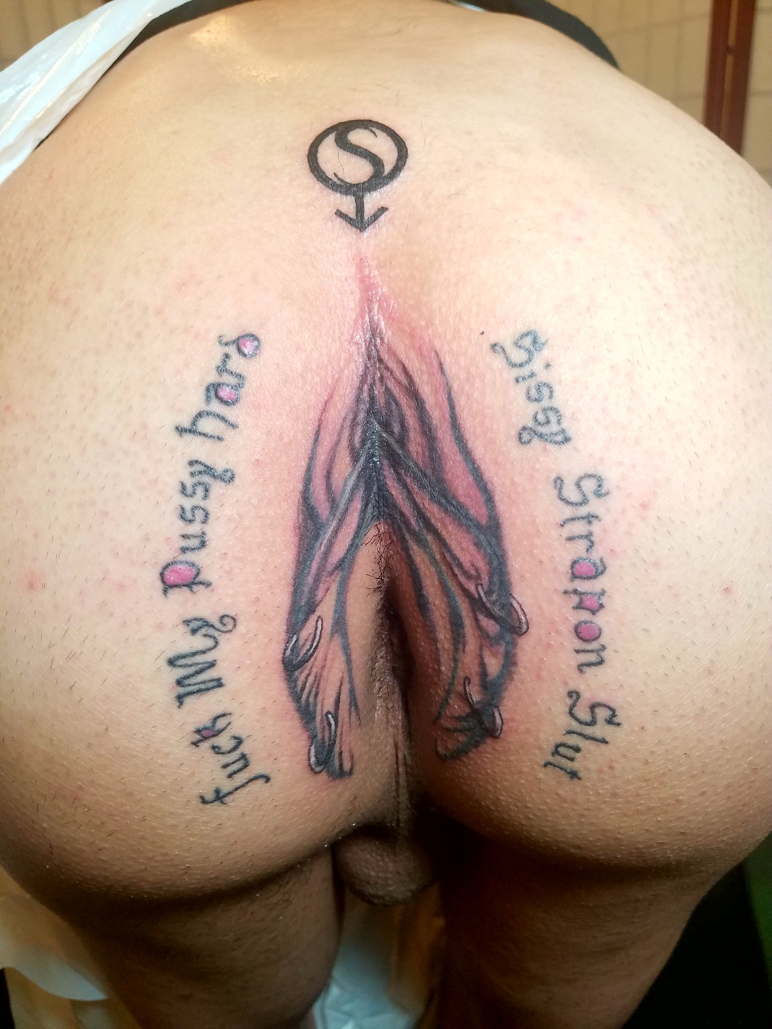 pussytattoo I realize the tumblr link will not work in a few  days. So here you go. #pussytattoo #sissification https://t.co/GgQ0Vw9d5S /  X
