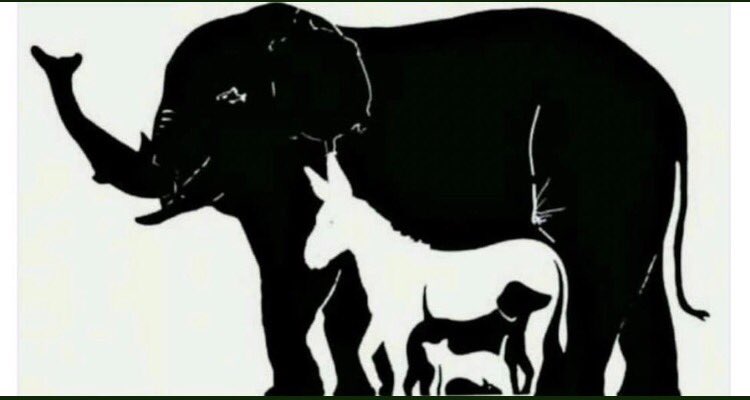 aboshaikha1's tweet photo. 🔴 اتحداكمُ تجاوبون كم حيوان بالصوره https://t.co/bk2xwBcj05