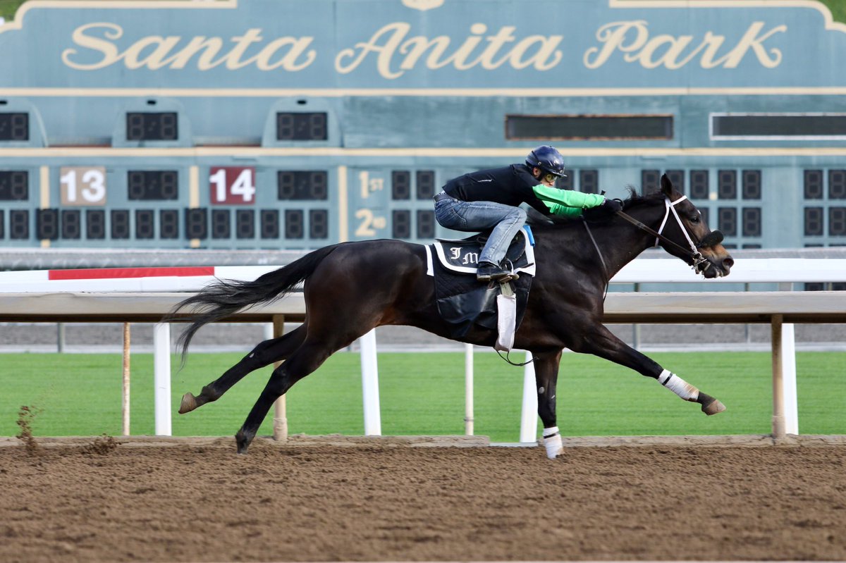 Rockandahardplace &amp; Santa Fe Blaze worked <a href="/santaanitapark/">Santa Anita Park</a>. #JMRacing