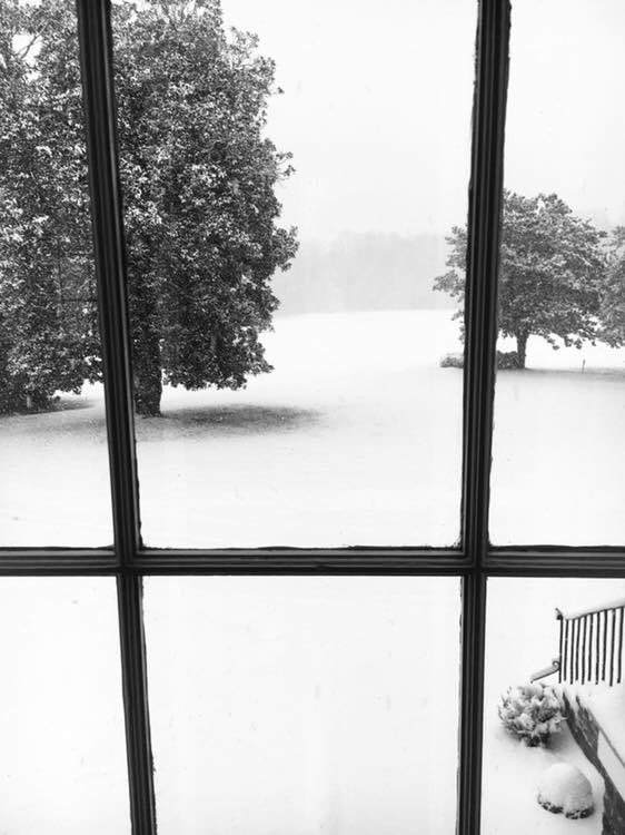 whiteplainsfarm's tweet photo. White out @whiteplainsfarm https://t.co/VsTWTdlRWD
