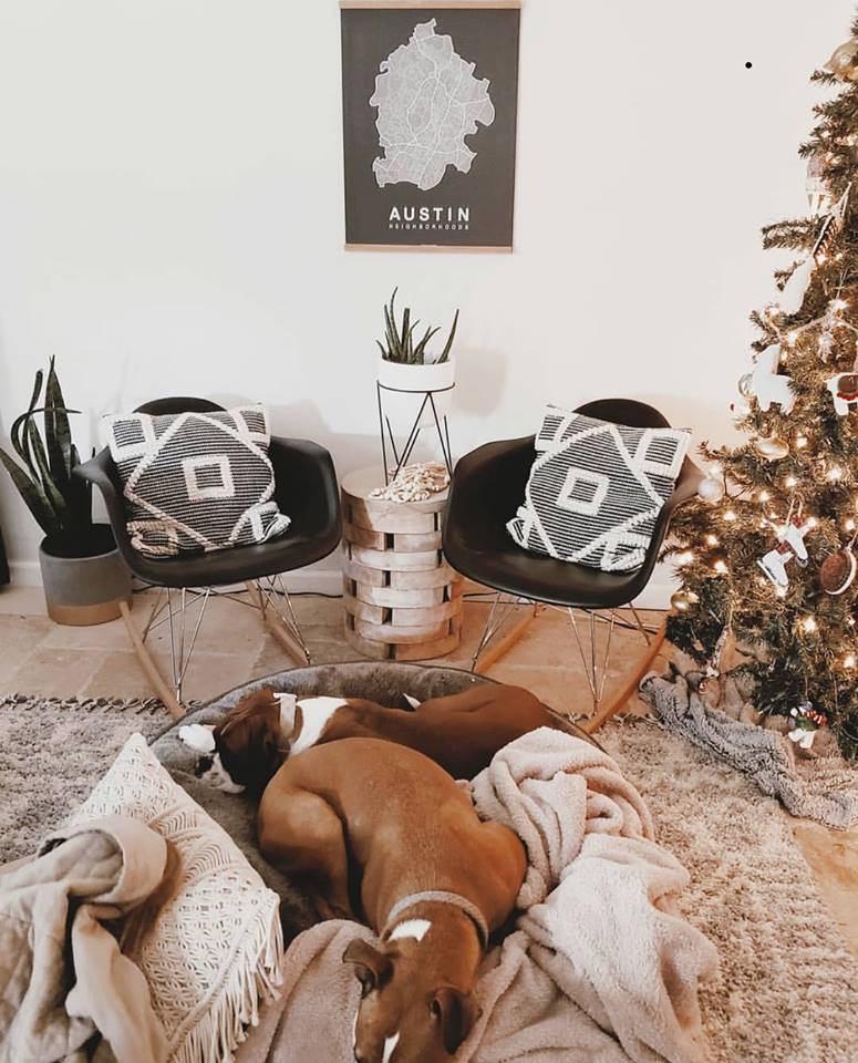 Doggy Daydreams 🐶💤
We hope you guys are having a relaxing Monday like these two! 

Let us know in the comments what you’re #mondaymotivation is! We would love to know :)

#monday #mondaymood #mondaymorning #polyandbark #rocker #myhomevibe #modernfarmhouse #midcenturyfurniture