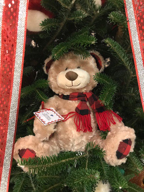 publix teddy bear