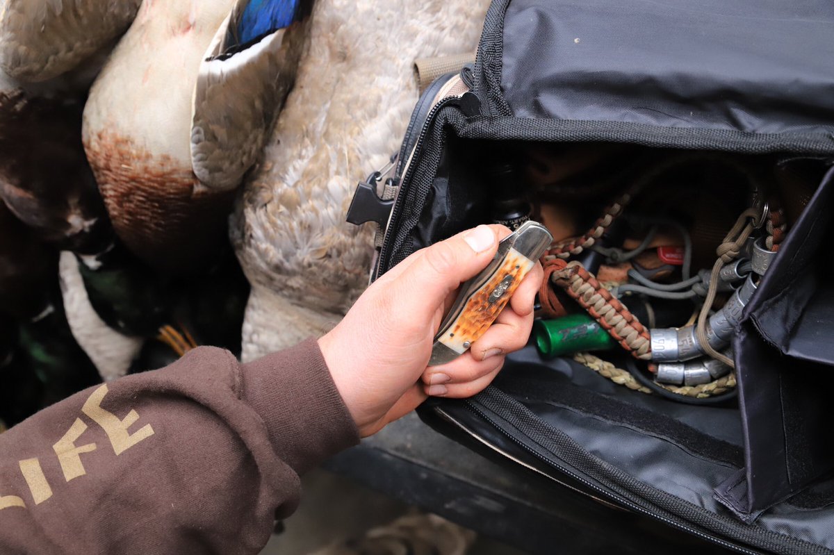 Blind bag essentials! You never know when a <a href="/wrcase/">Case Knives</a> knife may be needed! From skinning birds to opening snacks, my blind bag is never complete without a Case knife! Check out this knife through the link in my bio!  #Case #CaseKnives #CaseKnivesIdolHands #ad