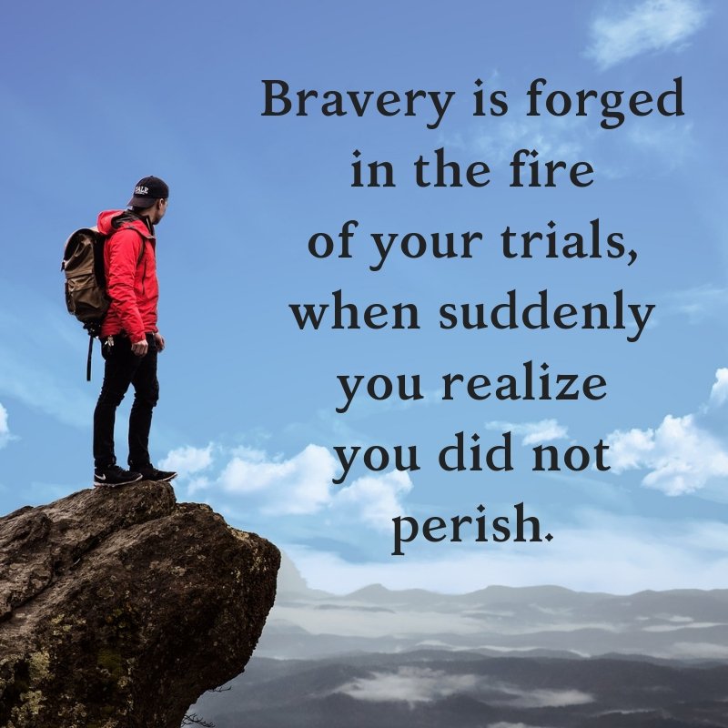 Robyn Thompson tweet media