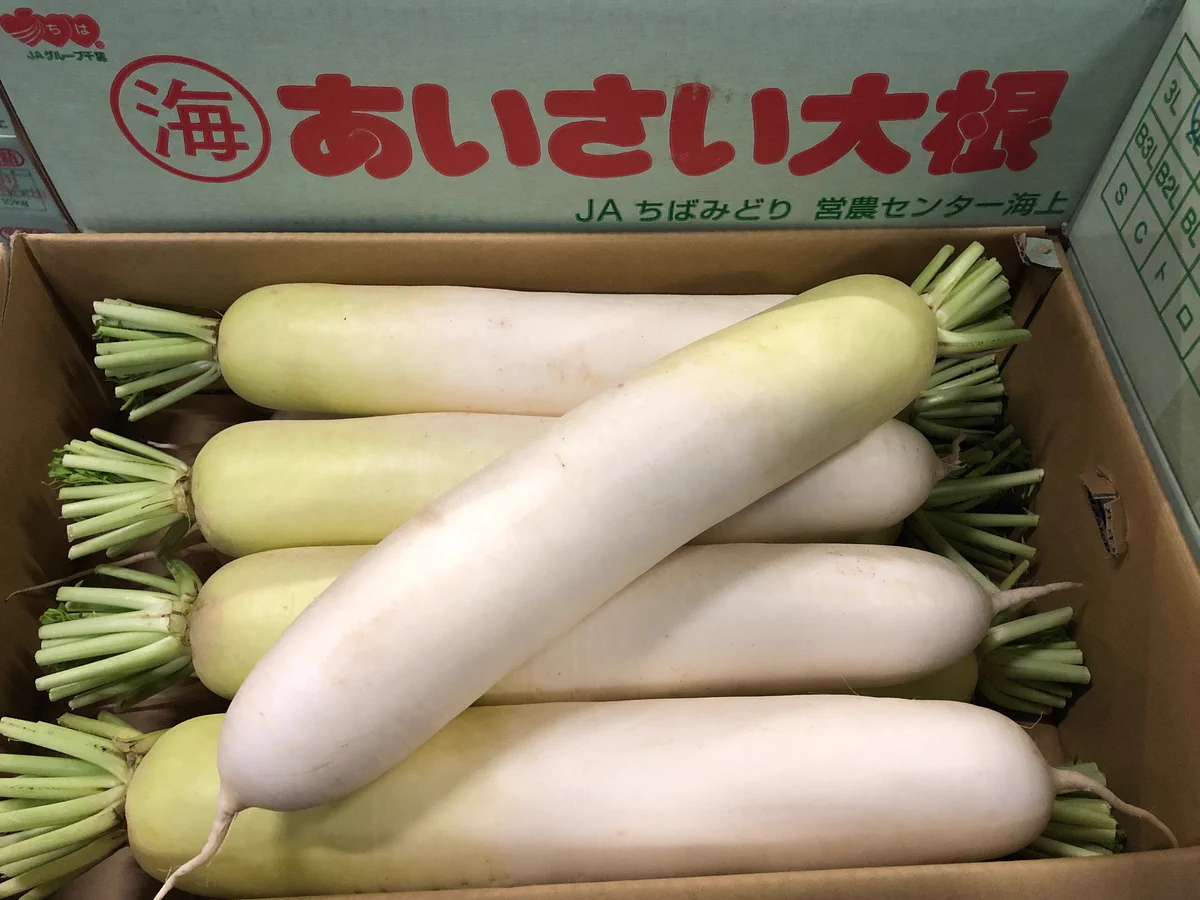 大根が安くなりすぎて農家さんが大変な目に遭っているから、食べて応援しよう！