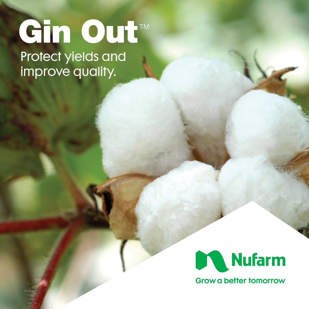 NufarmUS's tweet photo. Nufarm #Cotton Plant Growth Regulator to be Featured in 2019 @PhytoGenCotton Residual Rewards Program. Read more: https://t.co/oCDTmsY3qi #GinOut https://t.co/yRdnFvv6pC