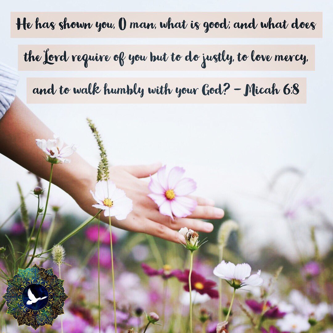 nwyband's tweet photo. Trust the one who knows your heart to uplift your walk and to guide your stumbling path to becoming those concepts that can be hard to grasp, let alone be: Merciful, Humble, and Just. ππ»
#bibleverse #oldtestament #minorprophet #practice #eachstep #patience #notwithoutyou #nwyband https://t.co/TYd4r68byJ