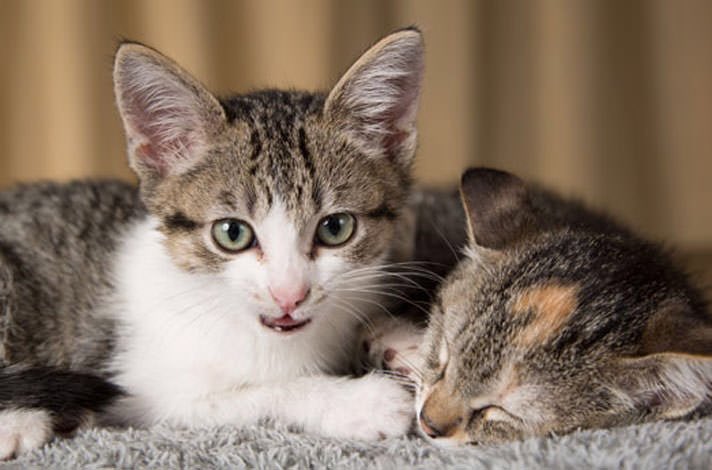 Það er ákveðinn skellur og mjög ósanngjarnt að þeir sem hrjóta vekji alla nema sjálfan sig 😴