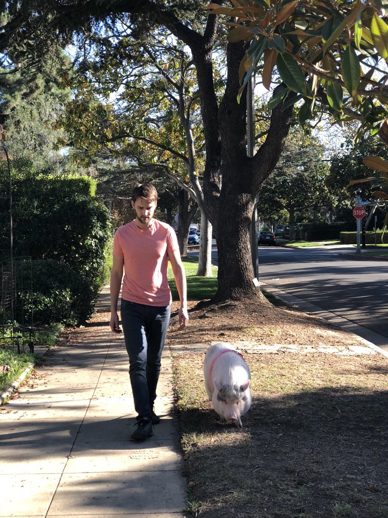 Really hoping the family walking away doesn’t hear me recycle my best joke on the family walking up. “She can be a little PIG-headed”.