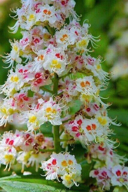 1hTkMJaMalfwQZS's tweet image. お早う御座います。@CristinPereyra 🇦🇷さん、@oadele53 👸💋💋さん、@eoff_sylvia👰さん、大恋愛は実りましたか、応援して居ます。@estrogenplus 👰さん、👦👱♀️お子さん随分、成長して居ますね、@GubbaRum🤵、ボストン、仕事ですね、@RosanaFava 👰👗👗👗🦋🦋 🇦🇷さん、夕食を楽しんで下さい。