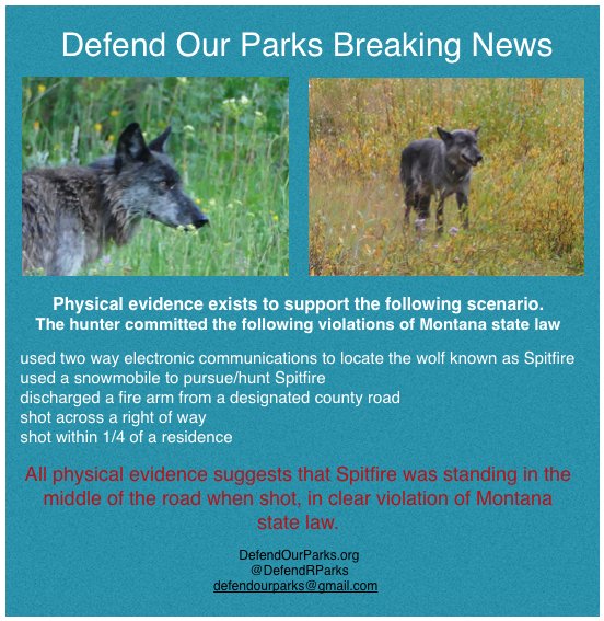 DefendRParks's tweet photo. Seriously, the only way we're going to get justice for another senseless killing just outside park boundaries by a trophy hunter is to bring public awareness. We need to promote our tweets as much as possible and we need your help. https://t.co/xG3dQEi3yn https://t.co/evtDpOwlkQ
