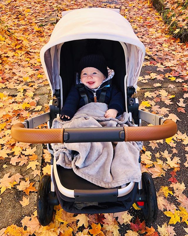 UPPAbaby's tweet photo. Holding onto #Fall a little bit longer. Check out Restoring Radianceβs post on apple picking with her family & #UbVISTA. https://t.co/bmvIYjnylv
#family #UPPAbaby #uppababyVISTA #fall #fallstrolls https://t.co/kgloPhcQfb