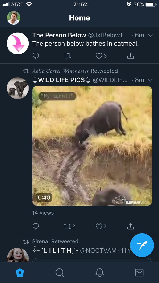 AnOceansKing's tweet image. Aella? 

@RebelOfWit2