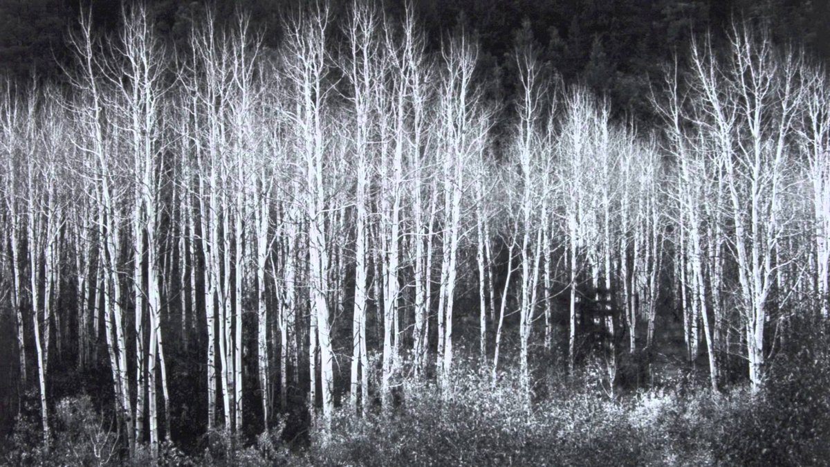 fgonzalezse's tweet photo. “Nature is a haunted house--but Art--is a house that tries to be haunted.” 
― Emily Dickinson https://t.co/1AMeppOzmd